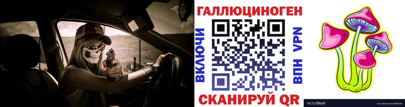 где купить   Сосногорск  блэк спрут вход  Галлюциногенные грибы Psilocybe 